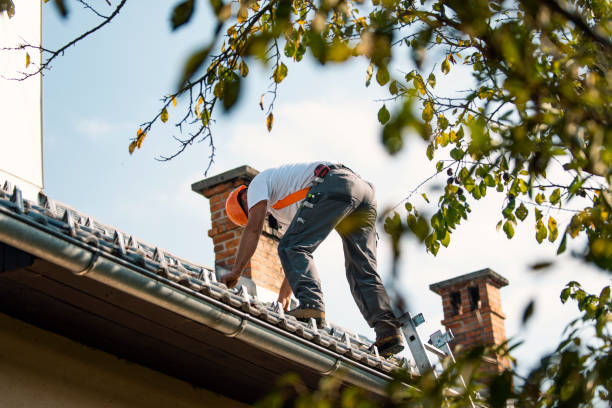 Roof Insulation Installation in Burkesville, KY