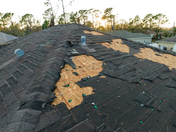 Best Slate Roofing  in Burkesville, KY