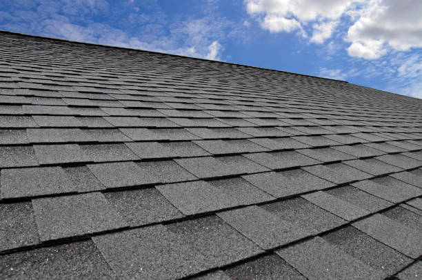 Best Asphalt Shingle Roofing  in Burkesville, KY